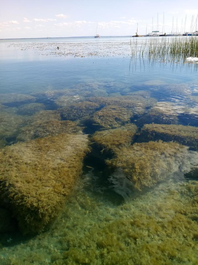 Sorompo Vendeghaz Hotel Balatonkenese Luaran gambar