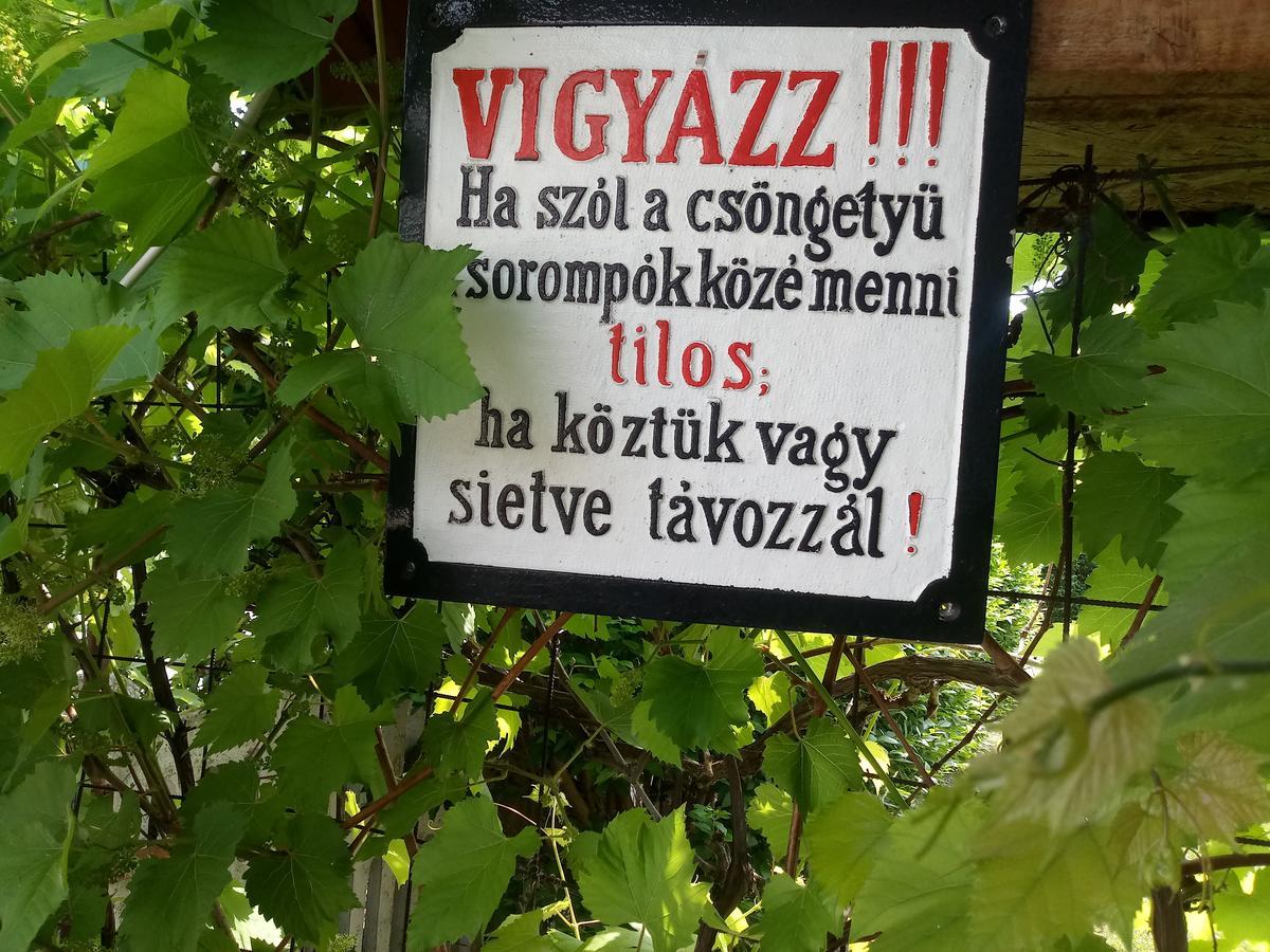 Sorompo Vendeghaz Hotel Balatonkenese Luaran gambar